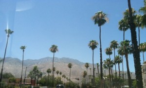 Palm Springs, California ~ sunny skies and 100 degree weather