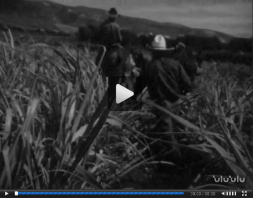 Irrigation. Lyman Museum & Mission House subcollection